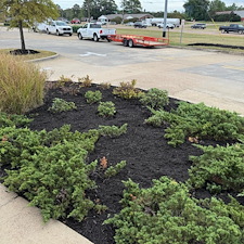 Commercial-Mulching-Services-in-Oxford-MS-and-Surrounding-Areas 2